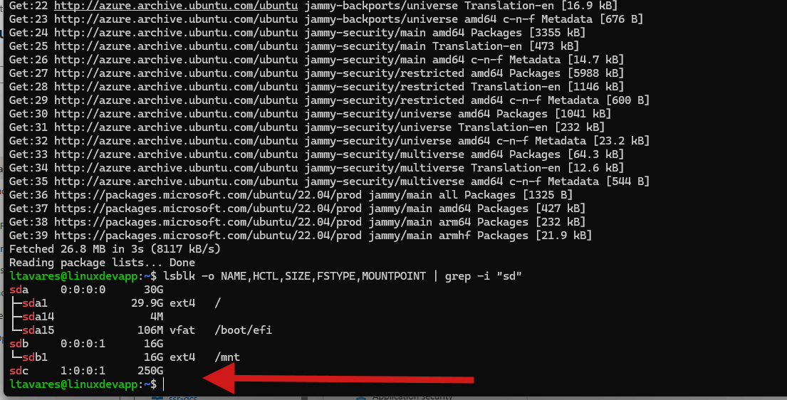 Linux terminal showing lsblk output with the new 250 GiB disk visible as /dev/sdc